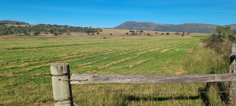 4 Bedroom Property for Sale in Queenstown Rural Eastern Cape